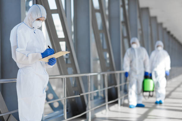 Best Mold Damage Restoration  in Cadiz, KY