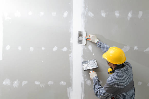 Best Basement Mold Removal  in Cadiz, KY