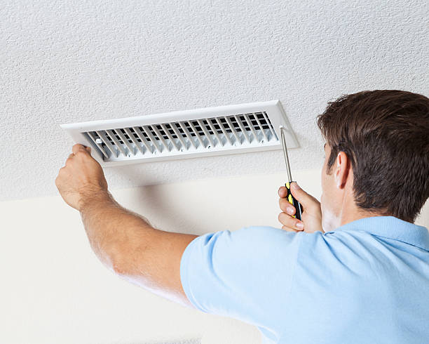 Best Mold Documentation for Insurance Claims  in Cadiz, KY